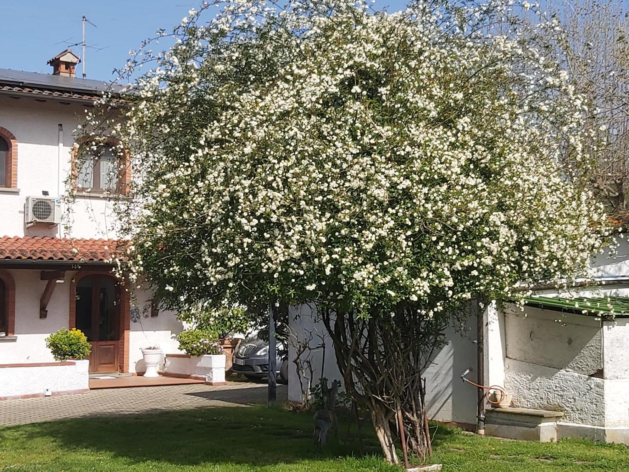 Villa Fioccomare Camaiore Exterior foto