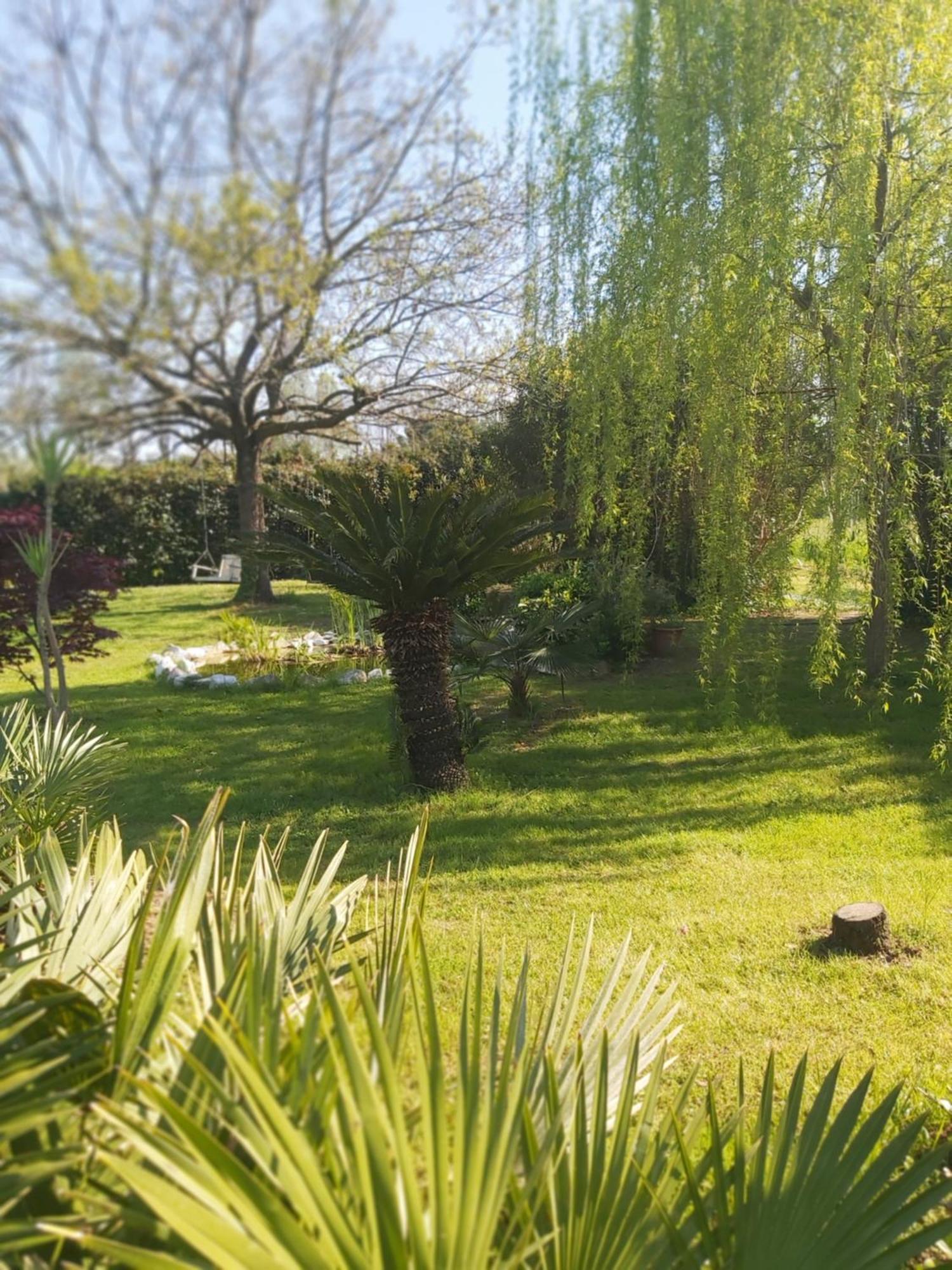 Villa Fioccomare Camaiore Exterior foto